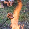 Zahradní slavnost